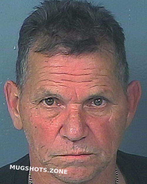 HERNANDEZ MARIO ALFREDO 12/17/2022 Hernando County Mugshots Zone