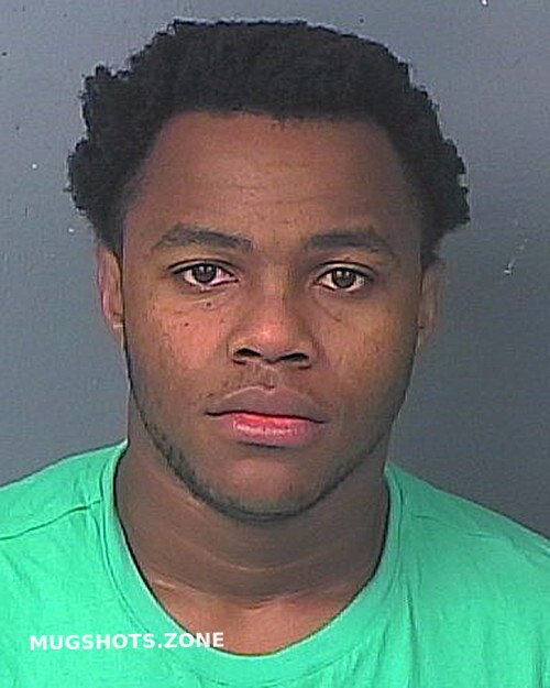 HERRING LUIS LEONARD 12/20/2022 Hernando County Mugshots Zone