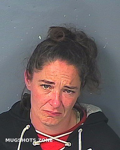 Tenhagen Stephanie Arlene 12 21 2022 Hernando County Mugshots Zone