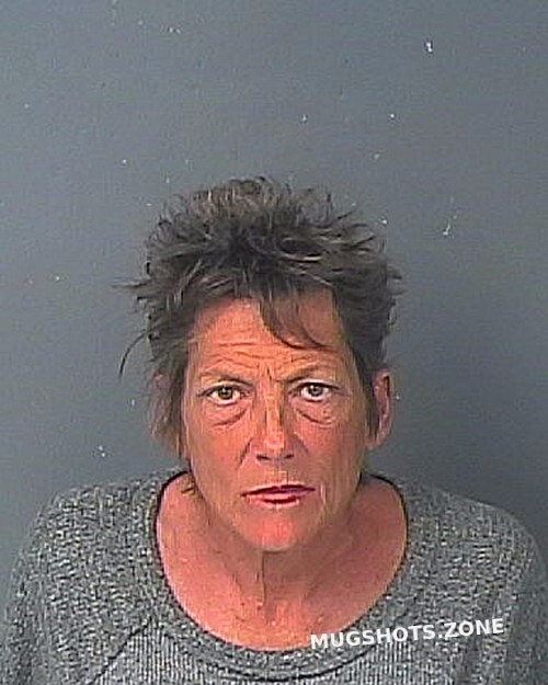 FETTY JULIA ELIZABETH 01/14/2023 - Hernando County Mugshots Zone