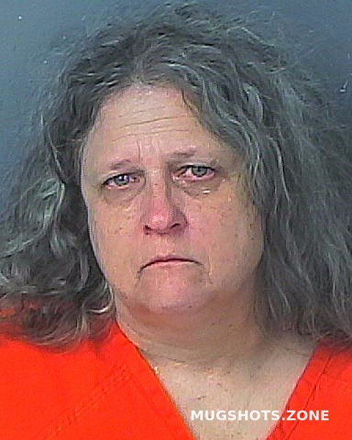 MEES TERRI ANN 01/16/2023 Hernando County Mugshots Zone