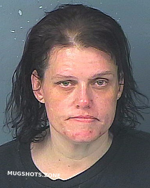 Nace Misty Lynn 01 20 2023 Hernando County Mugshots Zone