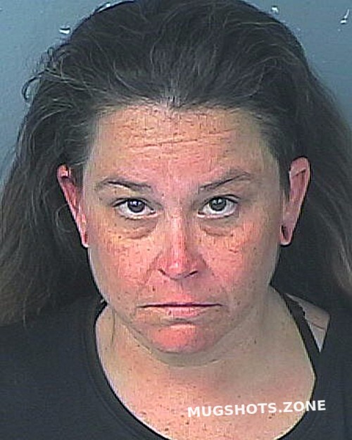 Brown Jennifer 01202023 Hernando County Mugshots Zone