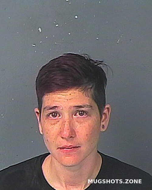 Zorda Michelle Renee 02042023 Hernando County Mugshots Zone 8885