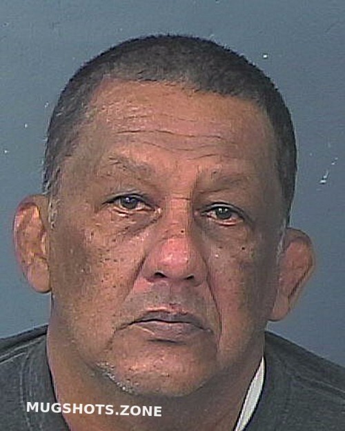 TORRES ESTUPINAN ALFONSO 02/06/2023 - Hernando County Mugshots Zone