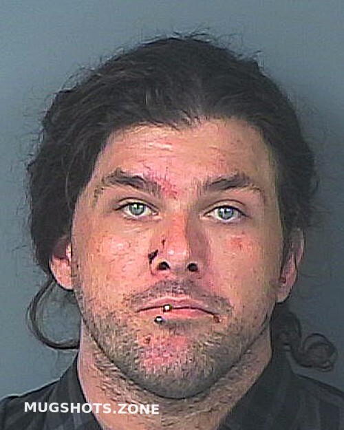 Nelson Jereme William 02112023 Hernando County Mugshots Zone