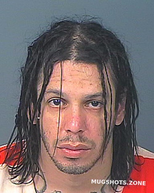 Guzman Alexis 02 14 2023 Hernando County Mugshots Zone