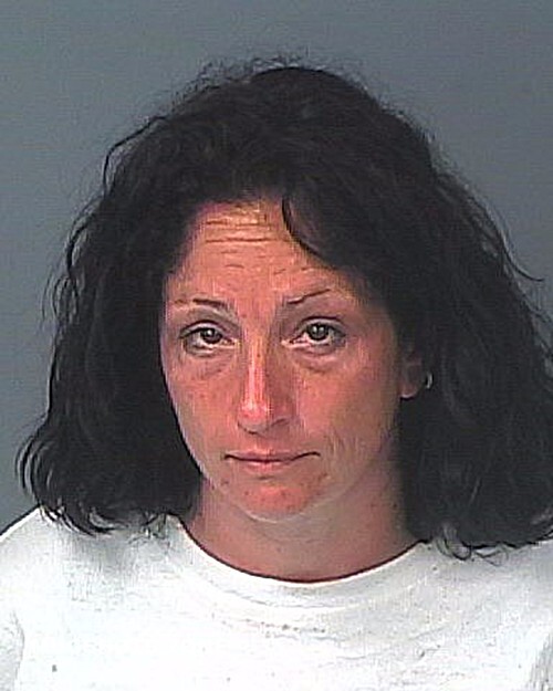 DELLASSO ELAINA MARIE 02 26 2023 Hernando County Mugshots Zone dellasso-elaina-marie-02-26-2023-hernando-county-mugshots-zone