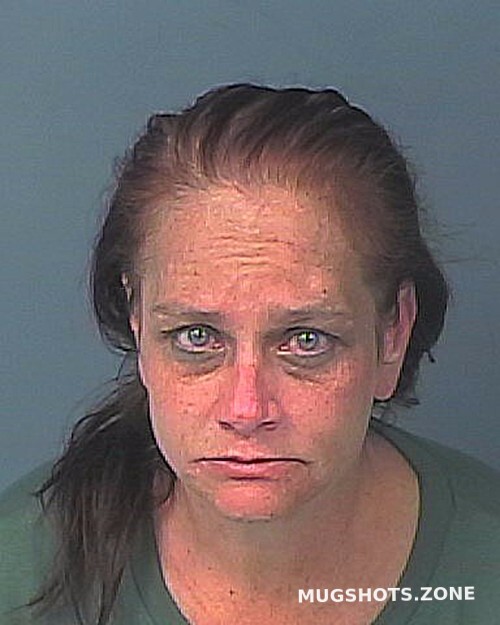 HEDDEN CATHY ANNE 03/24/2023 - Hernando County Mugshots Zone