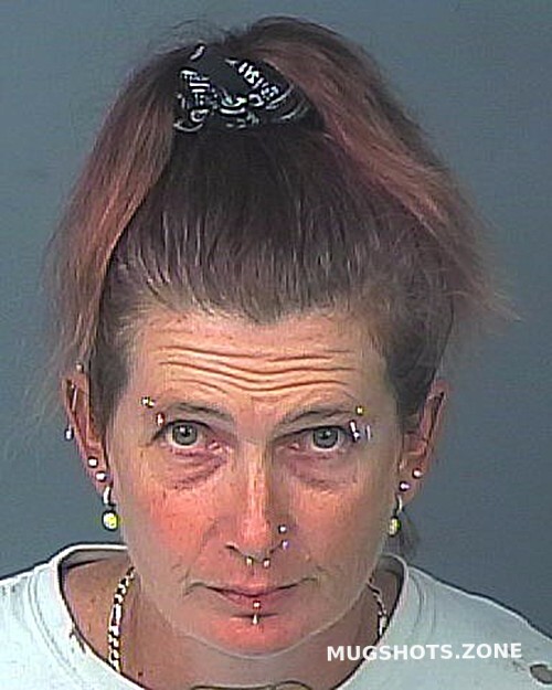 Sohngen Jessica Lynn 04 11 2023 Hernando County Mugshots Zone