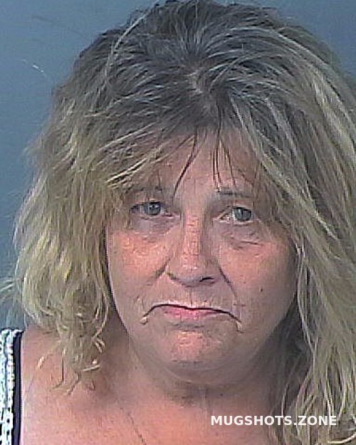 KEARNEY LISA CAROL 04/26/2023 Hernando County Mugshots Zone