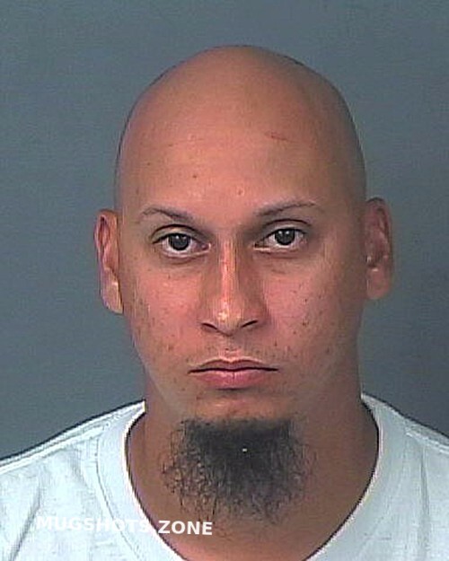 PADILLA EMANUEL JASON 05/25/2023 - Hernando County Mugshots Zone