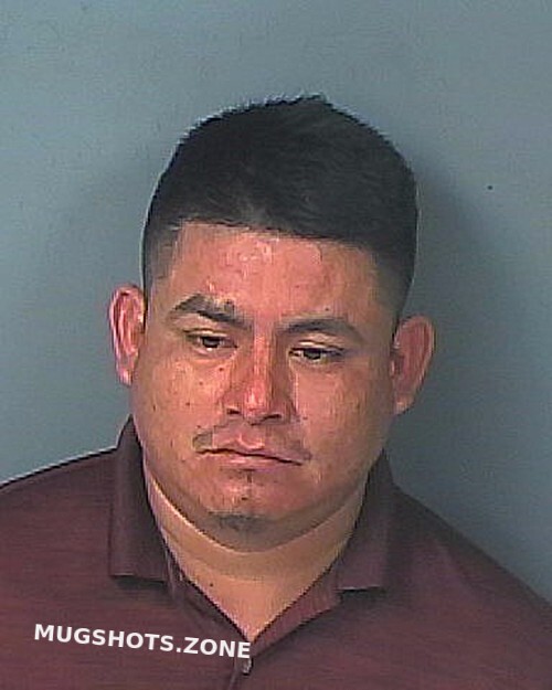 Vargas Eleazar 07 15 2023 Hernando County Mugshots Zone