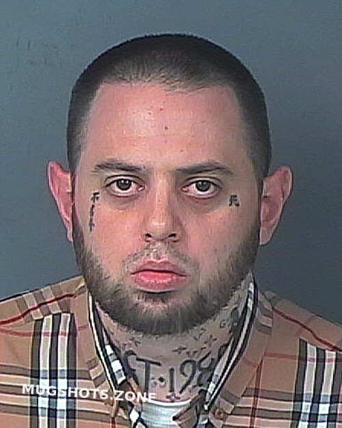 Garone Michael 08 02 2023 Hernando County Mugshots Zone