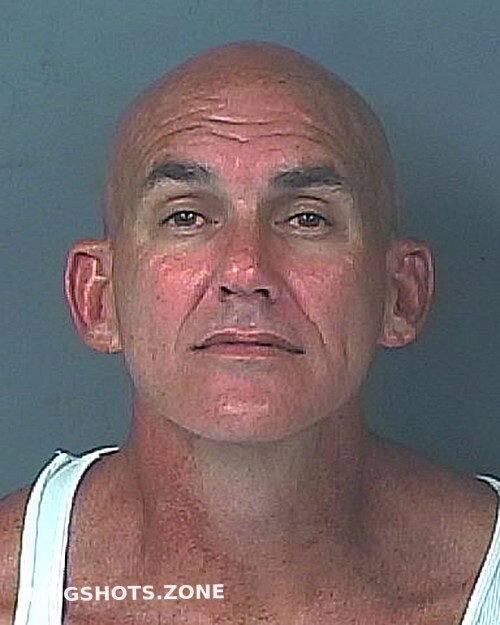 Marvulli Daniel Michael 10 06 2023 Hernando County Mugshots Zone