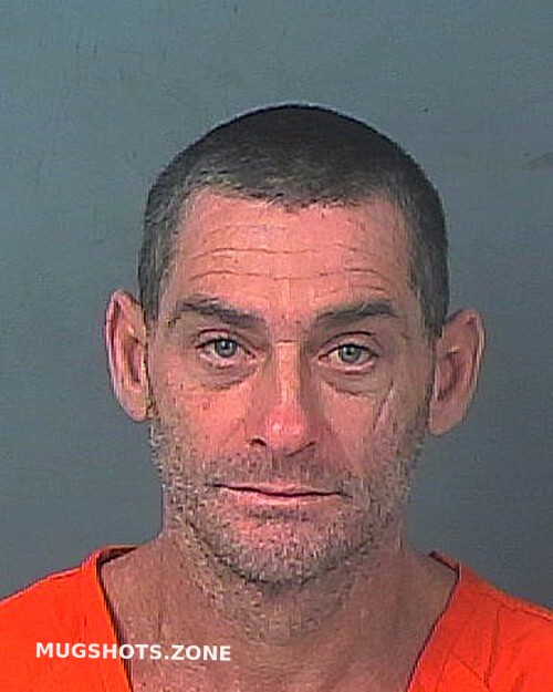 Nicosia Anthony 10 20 2023 Hernando County Mugshots Zone