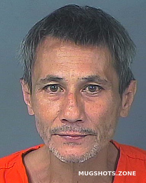 Tran Ly C 11 10 2023 Hernando County Mugshots Zone