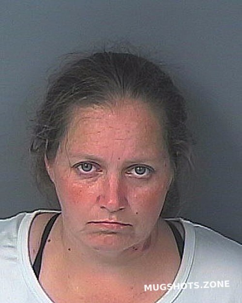 FORD CRYSTAL ANN 11/18/2023 - Hernando County Mugshots Zone