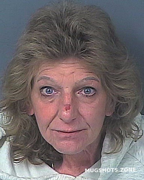 CONKLIN ANTOINETTE 11/29/2023 - Hernando County Mugshots Zone