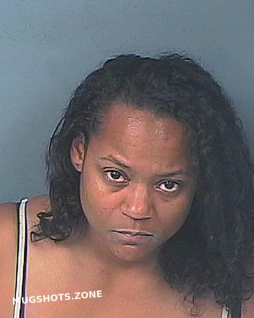 GARRETT MARGARITA 01/14/2024 - Hernando County Mugshots Zone