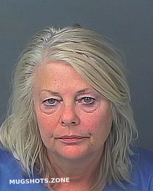 Villano Karen Anne 01202024 Hernando County Mugshots Zone 