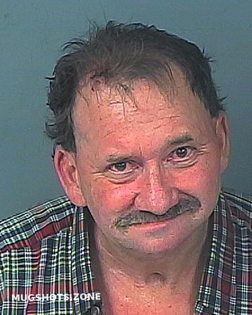 LONG GARY MICHAEL 01/27/2024 - Hernando County Mugshots Zone