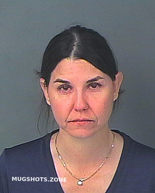 Endicott Samantha Rene 01312024 Hernando County Mugshots Zone 3812