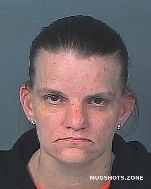 Robinson Brandie Lynn 02 29 2024 Hernando County Mugshots Zone