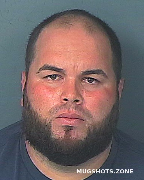 RIVAS GONZALEZ KEVIN ALBERTO 02/06/2025 - Hernando County Mugshots Zone