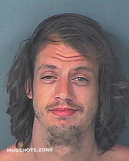 SIMPSON DANIEL RAY 03/29/2025 - Hernando County Mugshots Zone