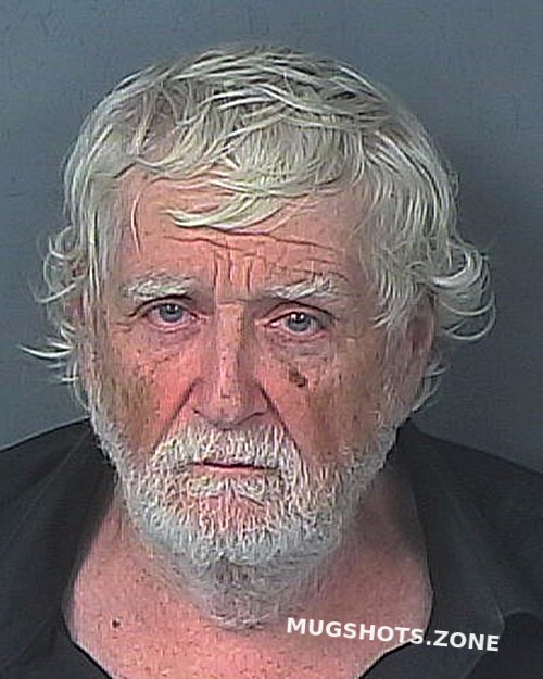 RITENOUR ROBERT LEE 04/25/2025 - Hernando County Mugshots Zone