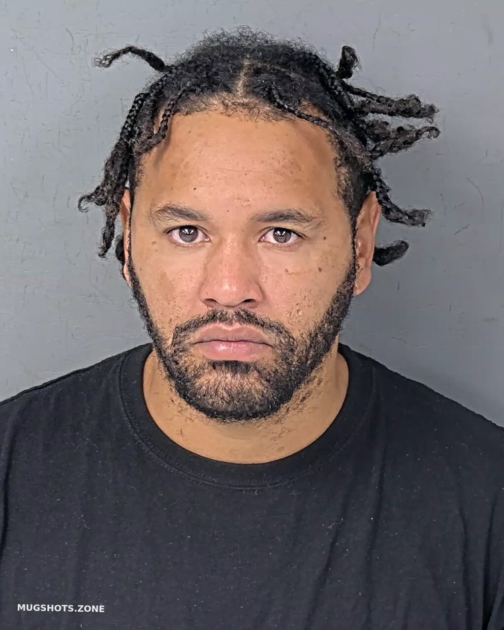 ANDREWS JULIAN 06/10/2025 Hernando County Mugshots Zone(00)