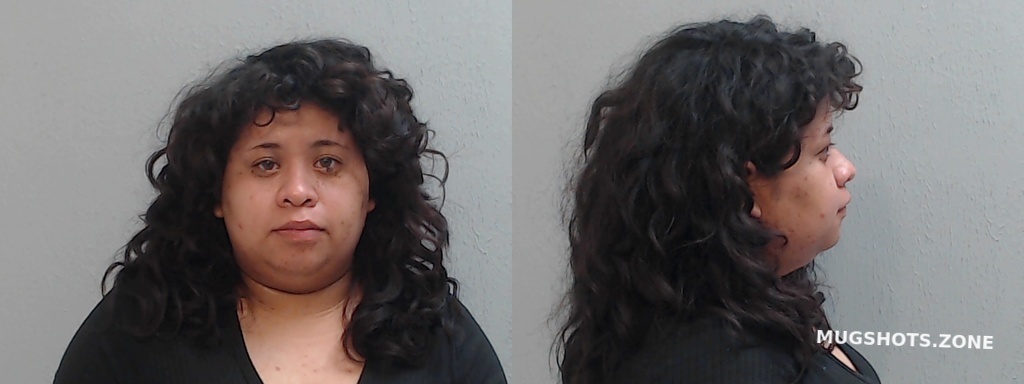 DE LA GARZA IVETTE 06/22/2022 - Hidalgo County Mugshots Zone