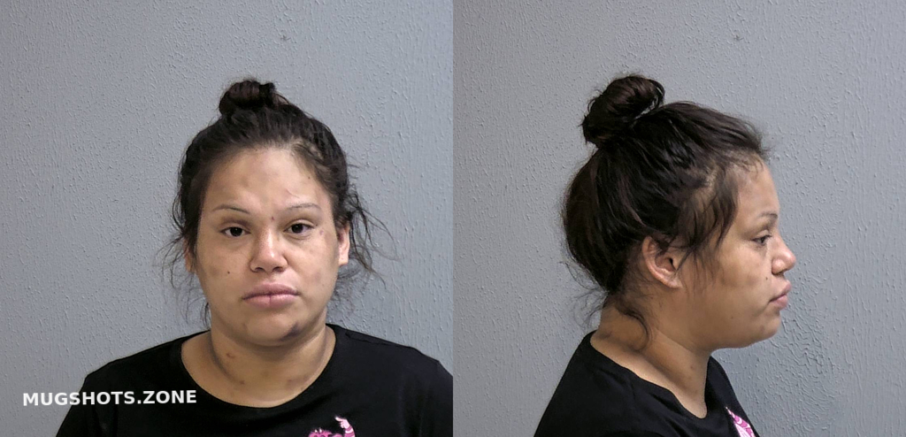 VILLARREAL ALICIA GUADALUPE 06/20/2023 - Hidalgo County Mugshots Zone