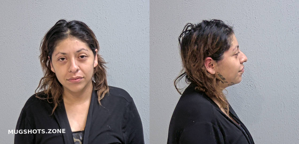 GOMEZ MARICELA FALCON 06/22/2023 - Hidalgo County Mugshots Zone