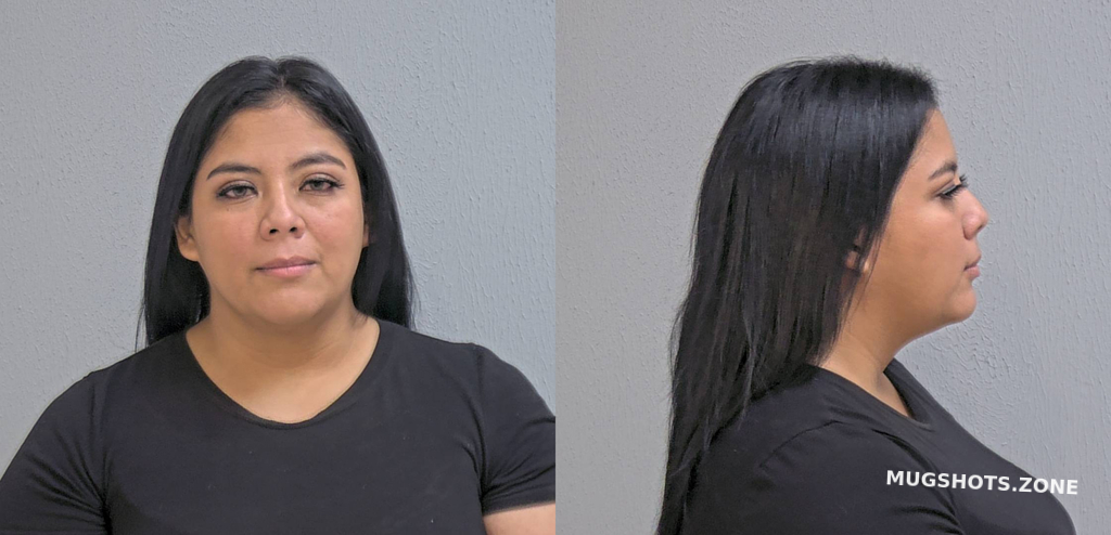 PINEDA YESENIA LEE 11/15/2023 - Hidalgo County Mugshots Zone