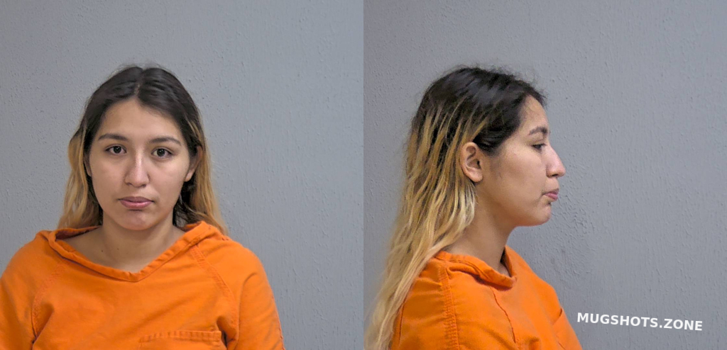 RIVERA ADELINA MARIE 12/25/2023 - Hidalgo County Mugshots Zone