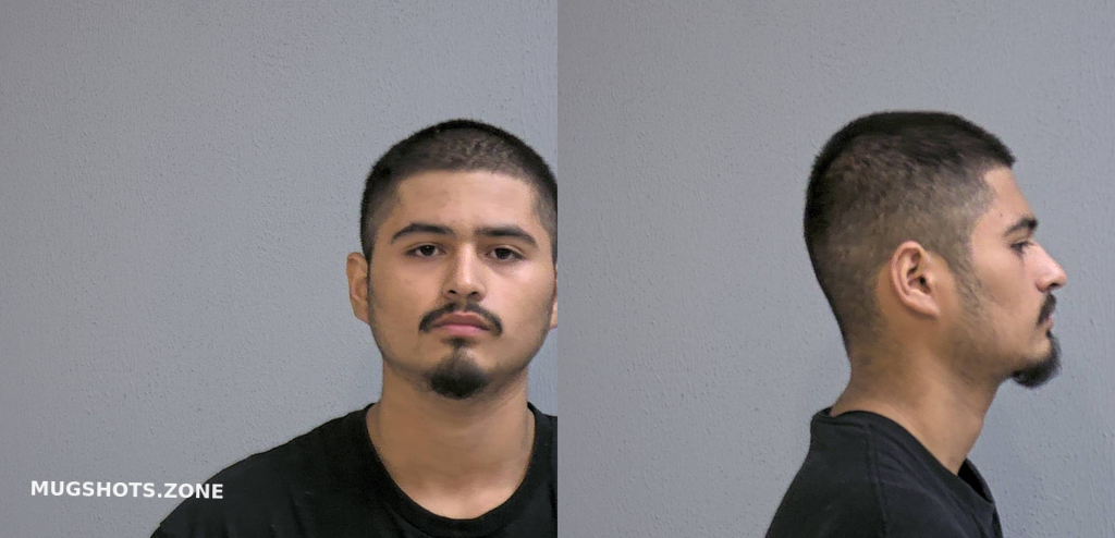 RAMOS RICARDO 01/11/2024 - Hidalgo County Mugshots Zone