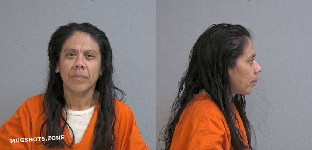 SINGLETERRY ANITA RENEE 02/08/2024 - Hidalgo County Mugshots Zone