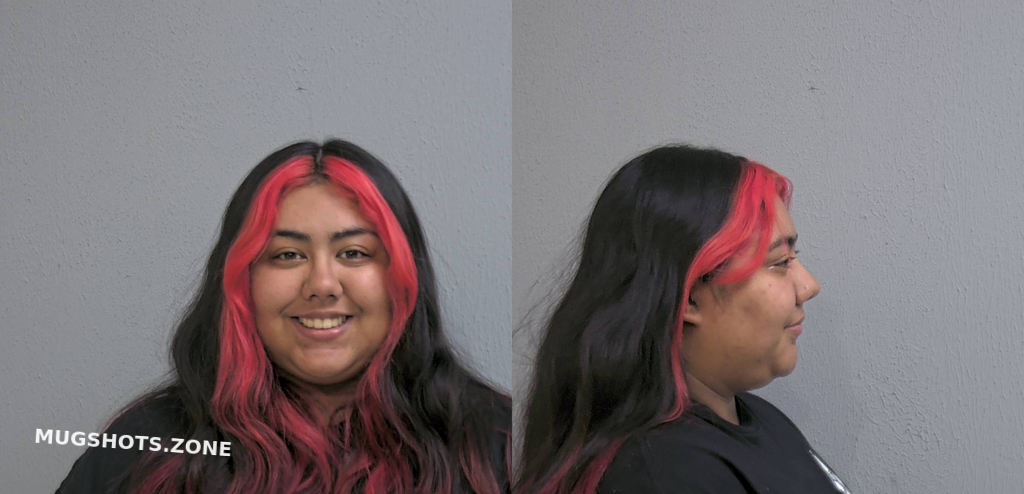 Gallegos Victoria Rhea Hidalgo County Mugshots Zone