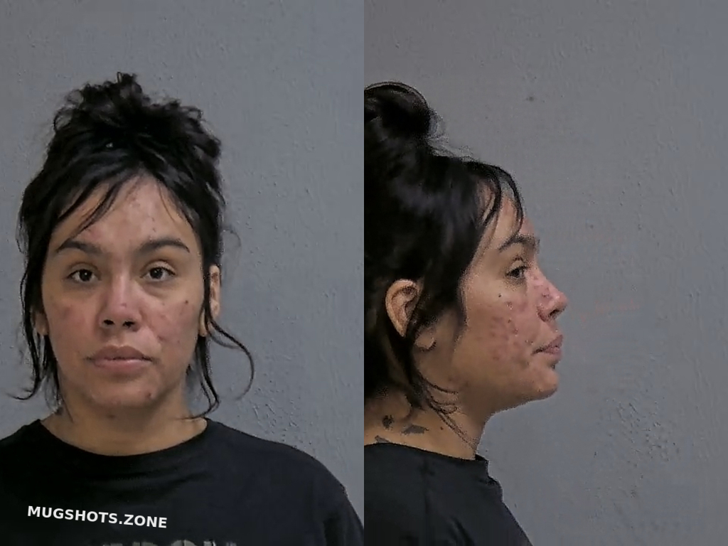 ORTIZ ABIGAIL 06/14/2024 Hidalgo County Mugshots Zone