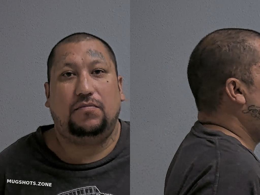 SEGOVIA ARMANDO JR. 06/15/2024 - Hidalgo County Mugshots Zone