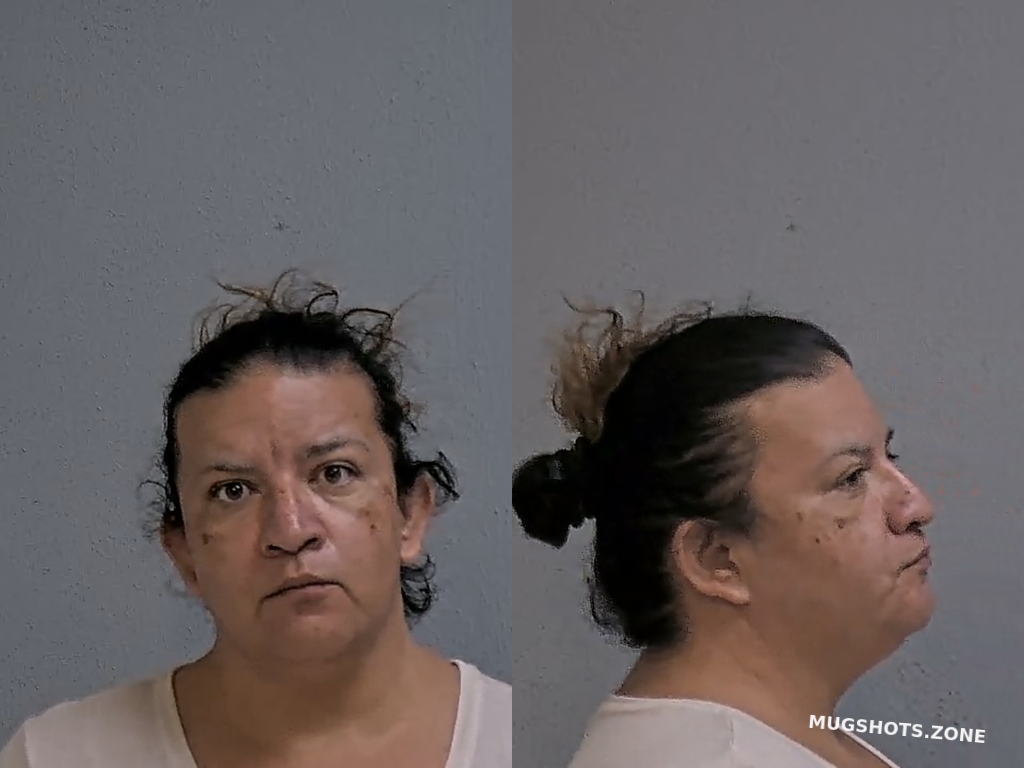 GONZALEZ HILDA 06/15/2024 Hidalgo County Mugshots Zone