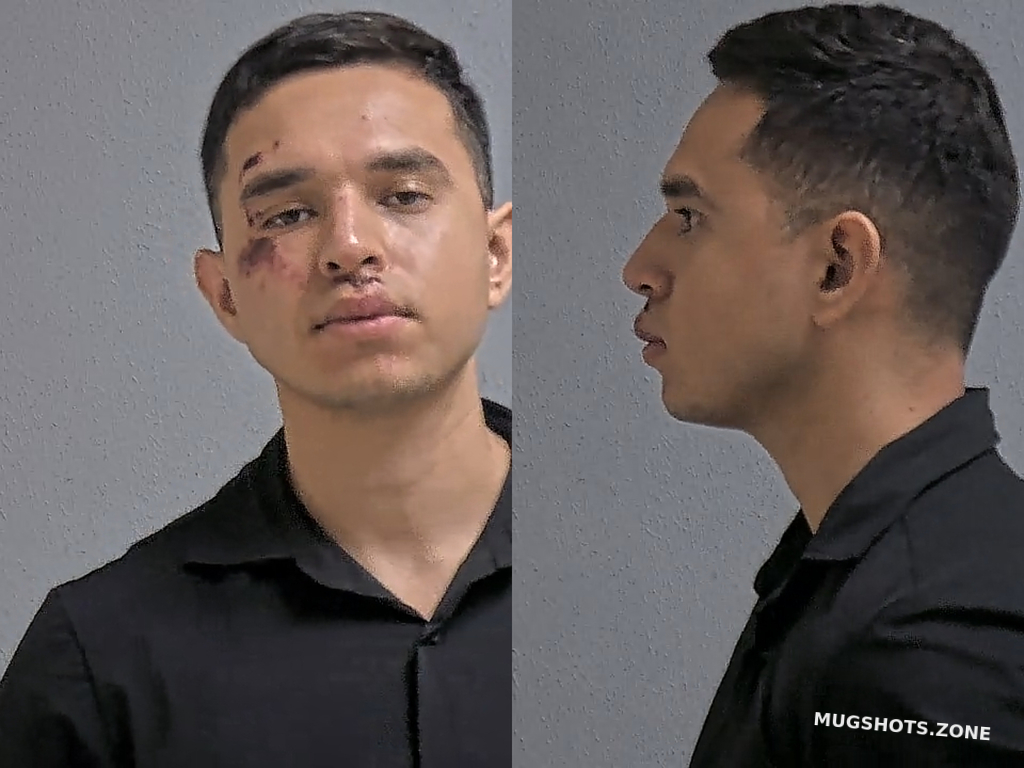 MIRELES JULIAN JAVIER 06/16/2024 - Hidalgo County Mugshots Zone