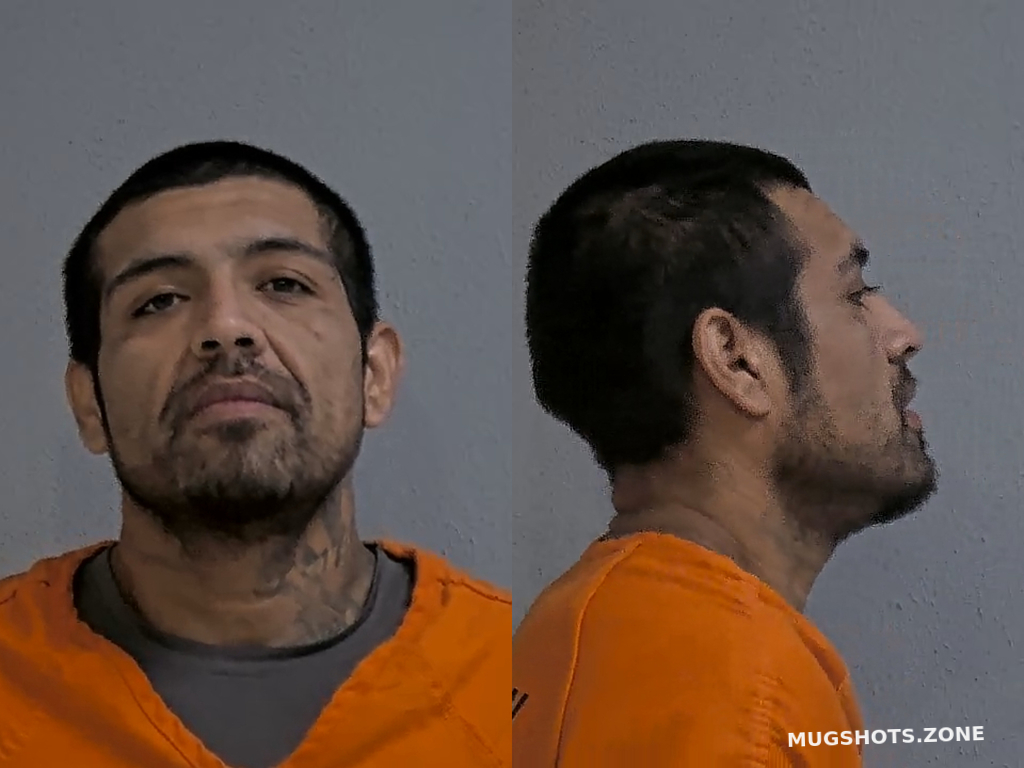 MARTINEZ JOSE 06/17/2024 Hidalgo County Mugshots Zone