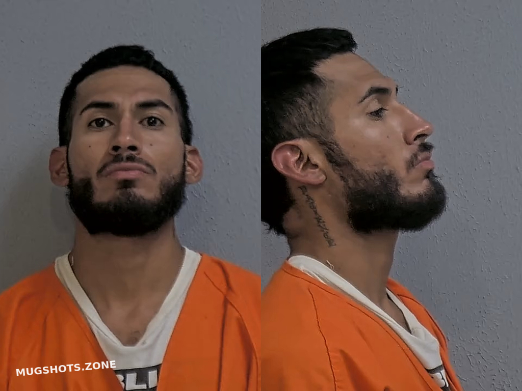 LOPEZ FERNANDO 06/17/2024 Hidalgo County Mugshots Zone