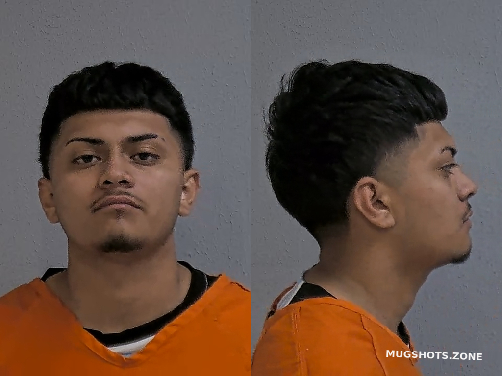 ZUNIGA GAEL 06/17/2024 Hidalgo County Mugshots Zone