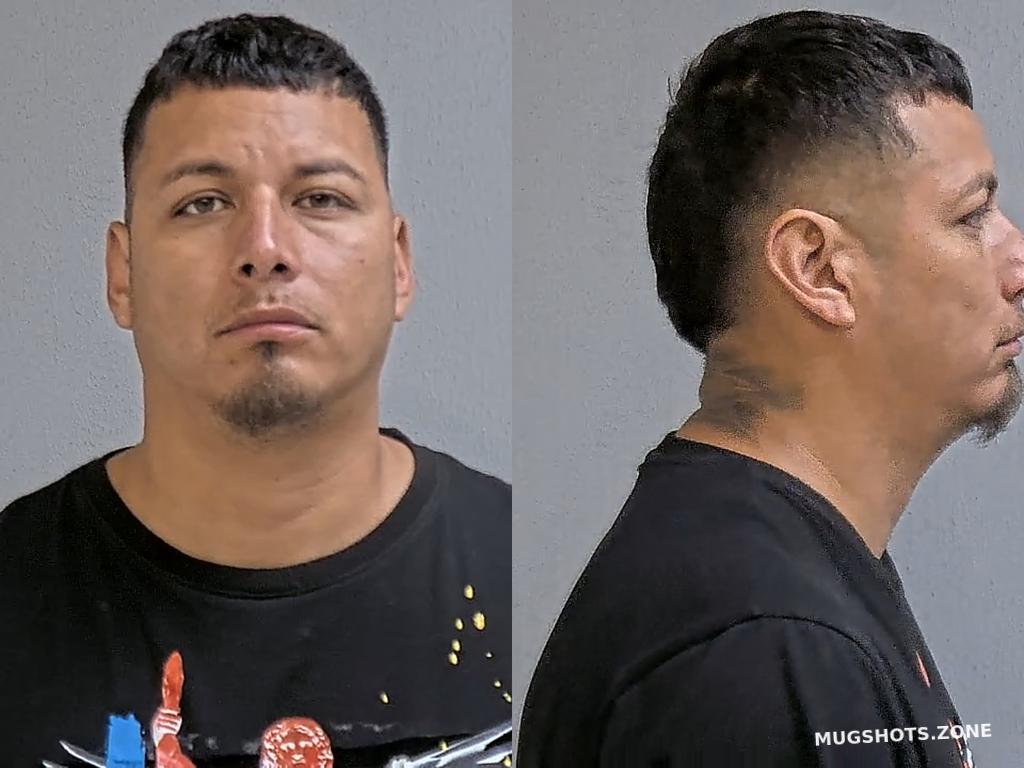 OLIVARES LUIS 06/19/2024 Hidalgo County Mugshots Zone