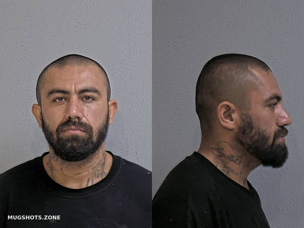 Rocha Fernando Martin 06 26 2024 Hidalgo County Mugshots Zone