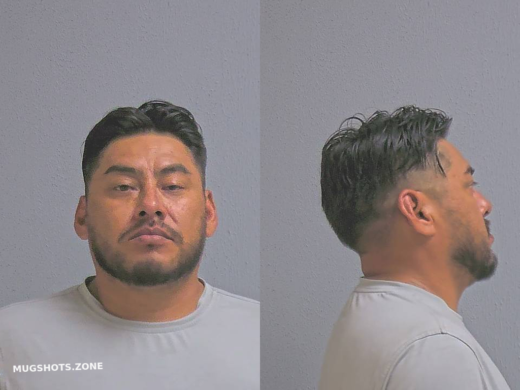 RIVERA JOSE LUIS 08/15/2024 Hidalgo County Mugshots Zone